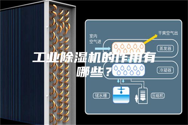 工業(yè)除濕機(jī)的作用有哪些？