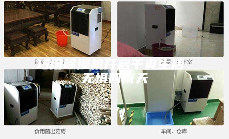 巧用除濕機(jī)開啟干爽生活 無懼回南天