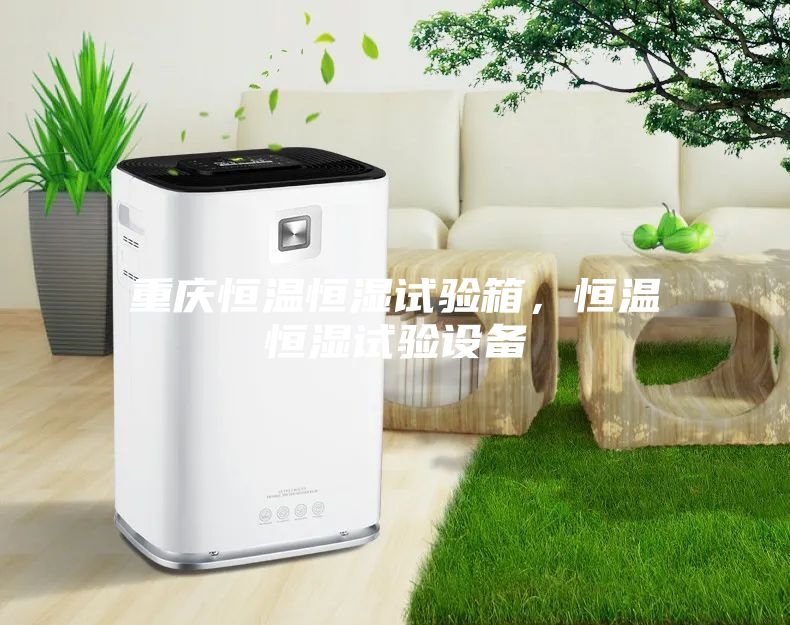 重慶恒溫恒濕試驗(yàn)箱，恒溫恒濕試驗(yàn)設(shè)備