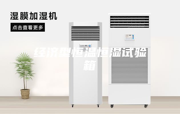 經濟型恒溫恒濕試驗箱