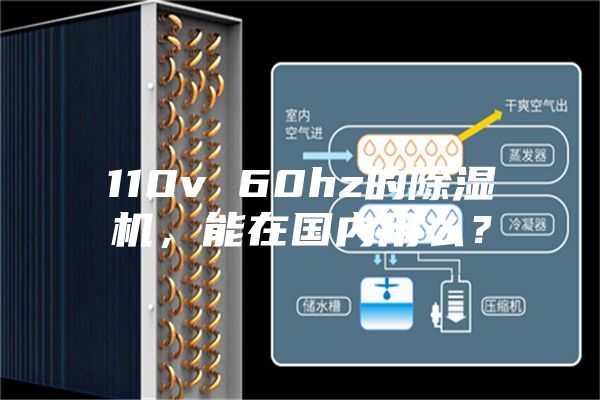 110v 60hz的除濕機，能在國內用么？