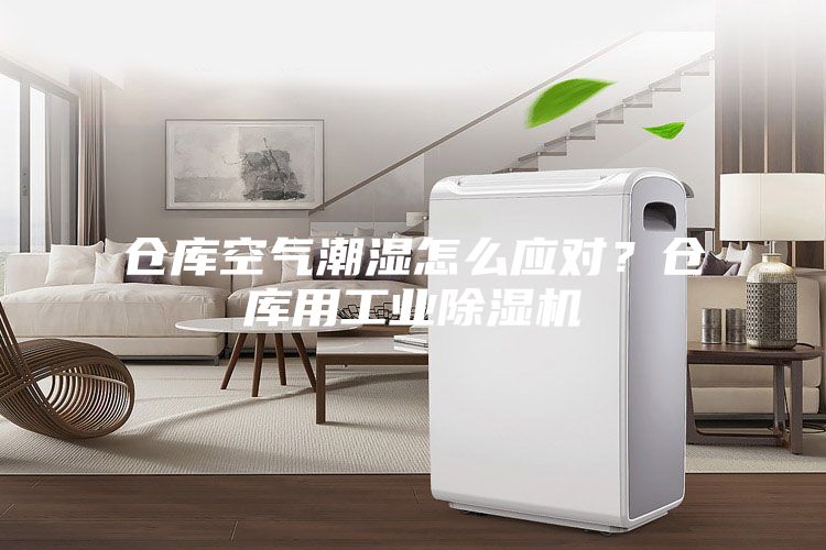倉(cāng)庫(kù)空氣潮濕怎么應(yīng)對(duì)？倉(cāng)庫(kù)用工業(yè)除濕機(jī)