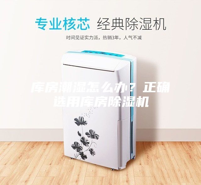 庫房潮濕怎么辦？正確選用庫房除濕機