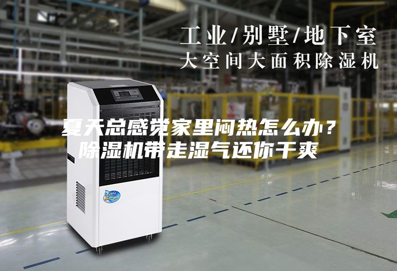 夏天總感覺家里悶熱怎么辦？除濕機帶走濕氣還你干爽