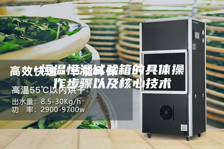 恒溫恒濕試驗(yàn)箱的具體操作步驟以及核心技術(shù)
