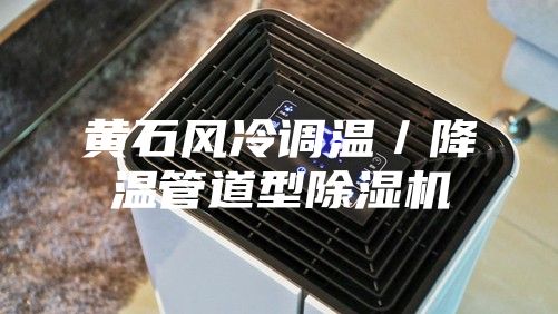 黃石風冷調(diào)溫／降溫管道型除濕機