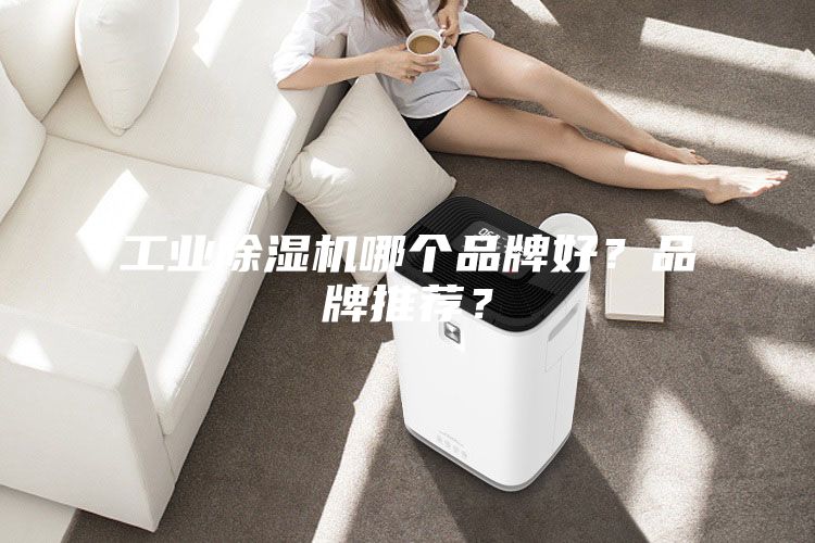 工業除濕機哪個品牌好？品牌推薦？