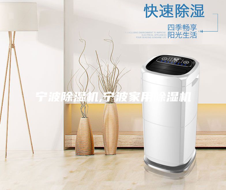 寧波除濕機,寧波家用除濕機