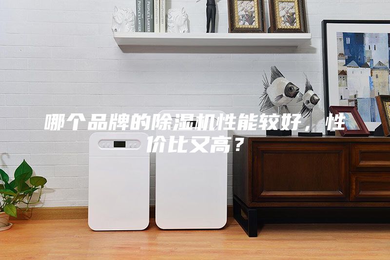 哪個品牌的除濕機性能較好，性價比又高？