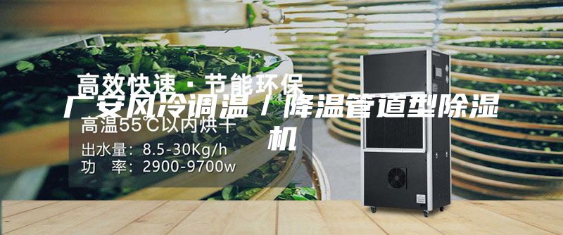 廣安風冷調(diào)溫／降溫管道型除濕機
