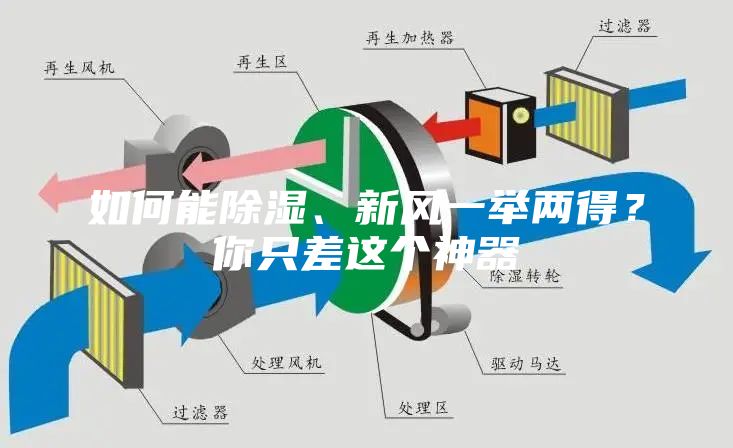 如何能除濕、新風一舉兩得？你只差這個神器