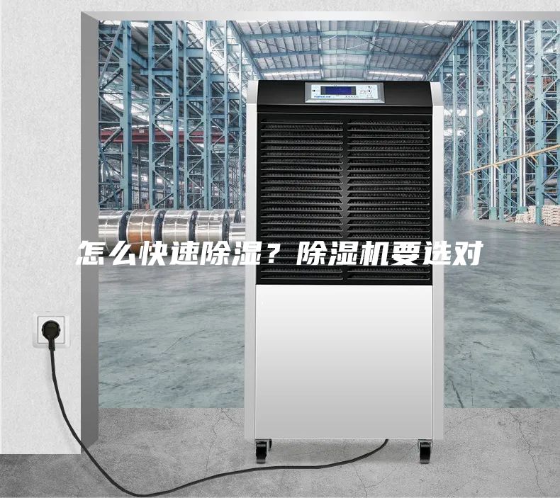 怎么快速除濕？除濕機要選對