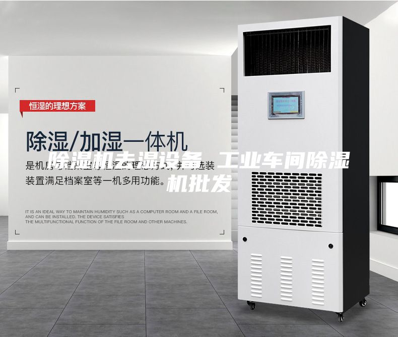 除濕機(jī)去濕設(shè)備 工業(yè)車間除濕機(jī)批發(fā)