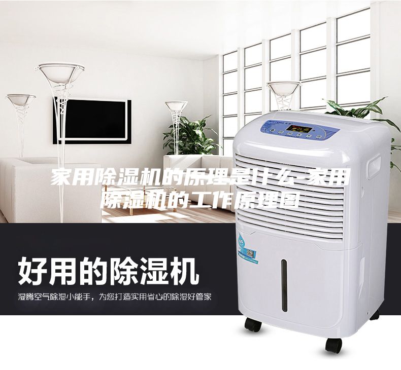 家用除濕機的原理是什么-家用除濕機的工作原理圖