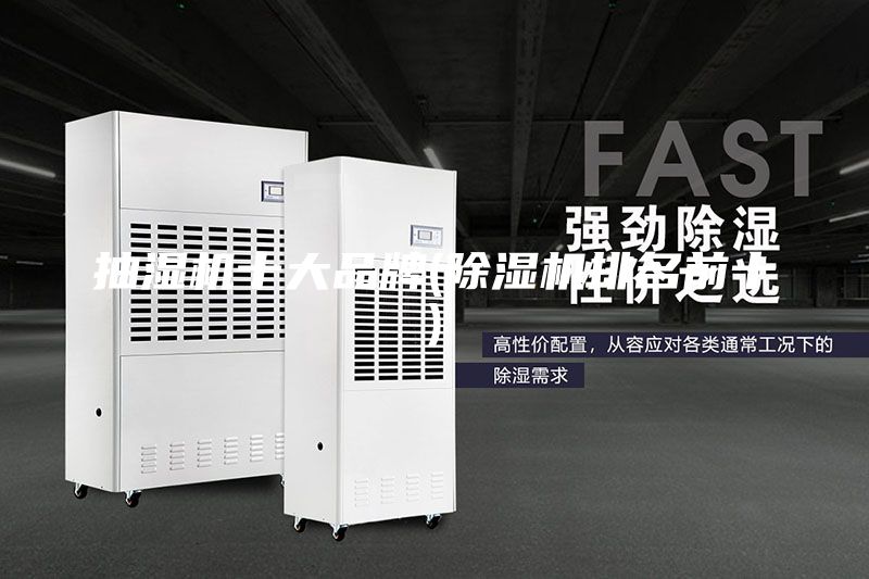 抽濕機十大品牌(除濕機排名前十)