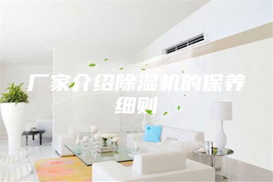 廠家介紹除濕機(jī)的保養(yǎng)細(xì)則