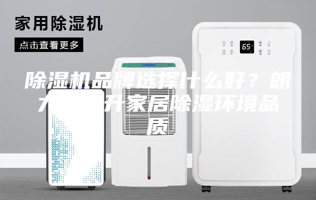 除濕機品牌選擇什么好？朗力信提升家居除濕環境品質