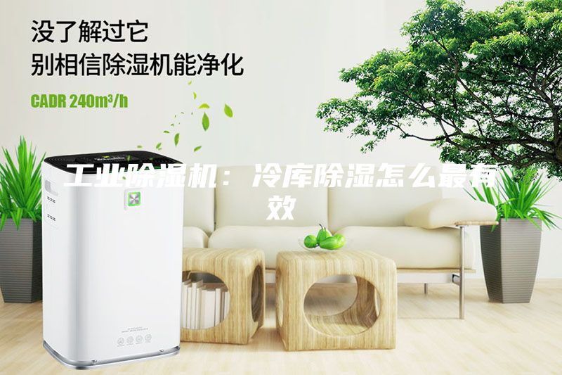 工業(yè)除濕機：冷庫除濕怎么最有效