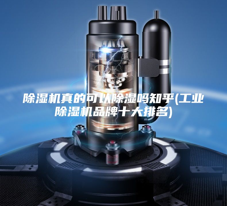 除濕機真的可以除濕嗎知乎(工業除濕機品牌十大排名)