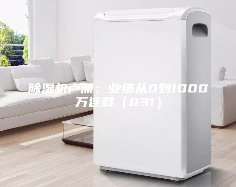 除濕機盧麗：業(yè)績從0到1000萬連載（031）