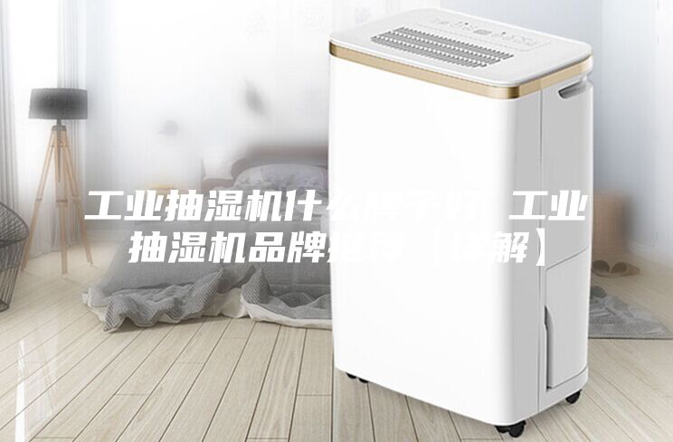 工業抽濕機什么牌子好 工業抽濕機品牌推薦【詳解】