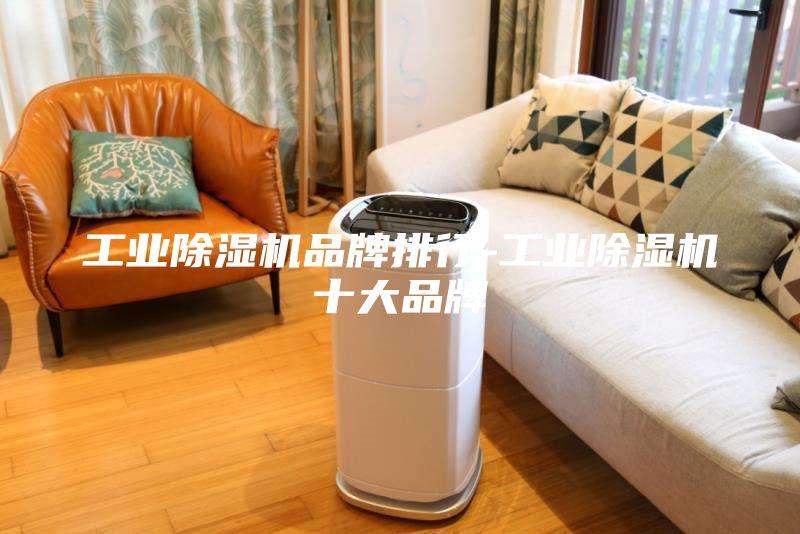 工業(yè)除濕機(jī)品牌排行-工業(yè)除濕機(jī)十大品牌