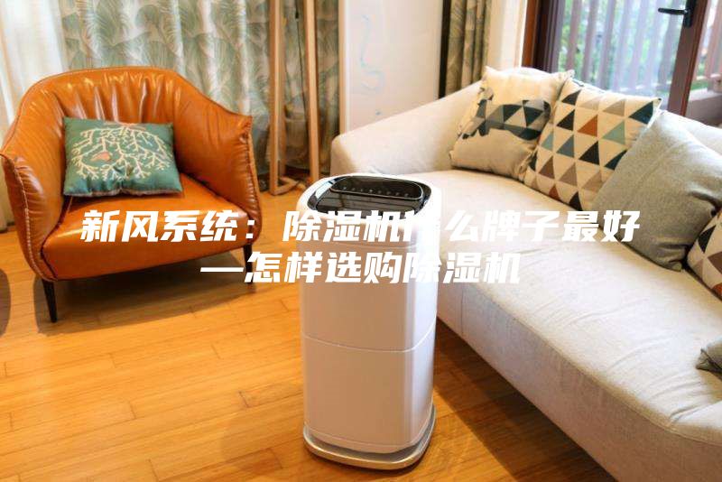 新風系統：除濕機什么牌子最好—怎樣選購除濕機