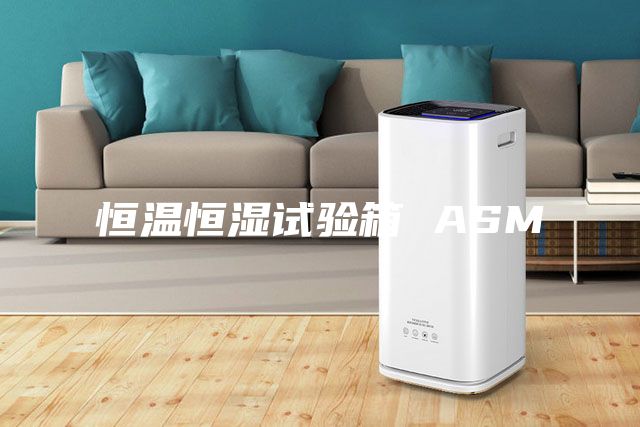 恒溫恒濕試驗箱 ASM