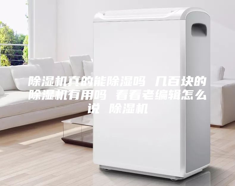除濕機真的能除濕嗎 幾百塊的除濕機有用嗎 看看老編輯怎么說 除濕機