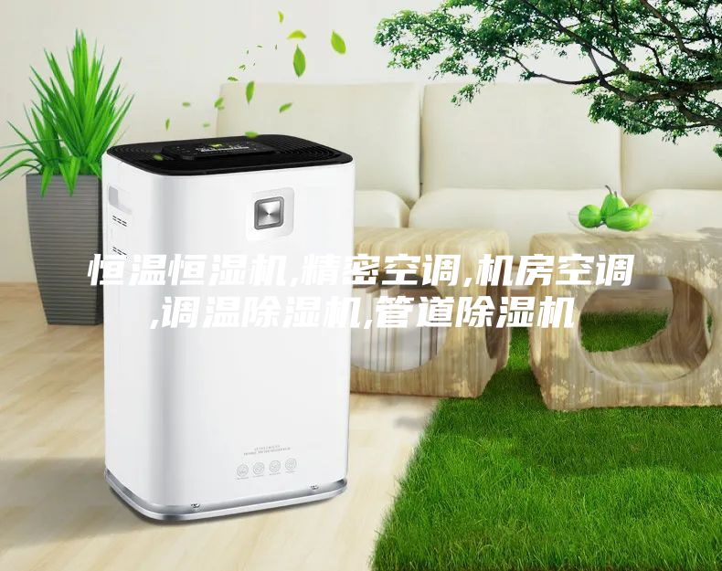 恒溫恒濕機,精密空調,機房空調,調溫除濕機,管道除濕機