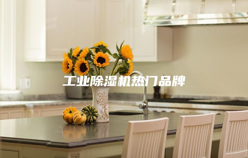 工業除濕機熱門品牌