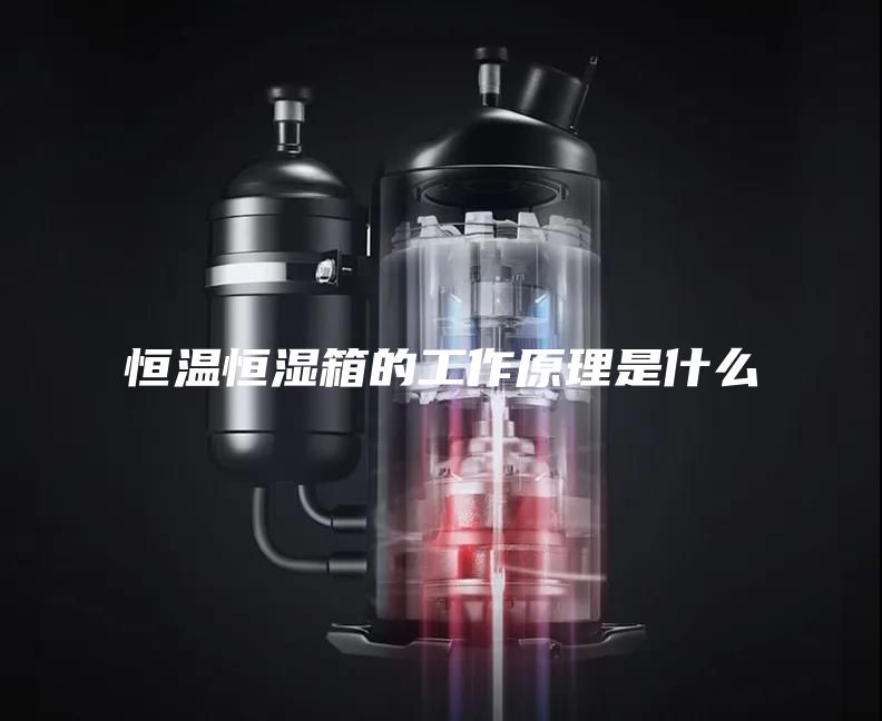 恒溫恒濕箱的工作原理是什么