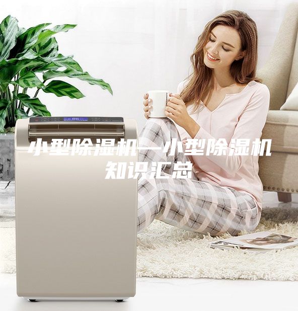 小型除濕機—小型除濕機知識匯總
