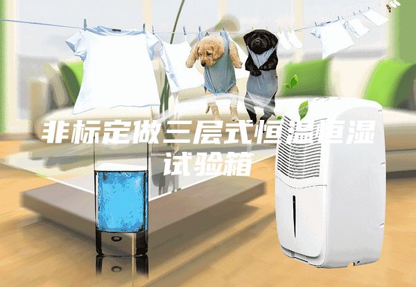 非標(biāo)定做三層式恒溫恒濕試驗(yàn)箱