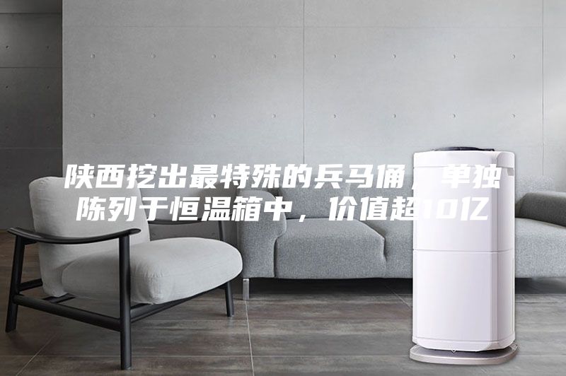 陜西挖出最特殊的兵馬俑，單獨陳列于恒溫箱中，價值超10億