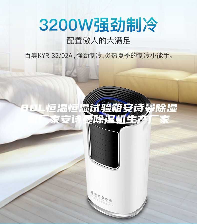 80L恒溫恒濕試驗箱安詩曼除濕機廠家安詩曼除濕機生產(chǎn)廠家