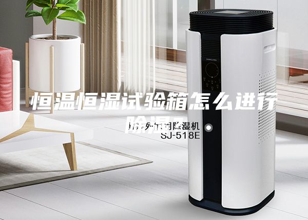 恒溫恒濕試驗箱怎么進行除濕？