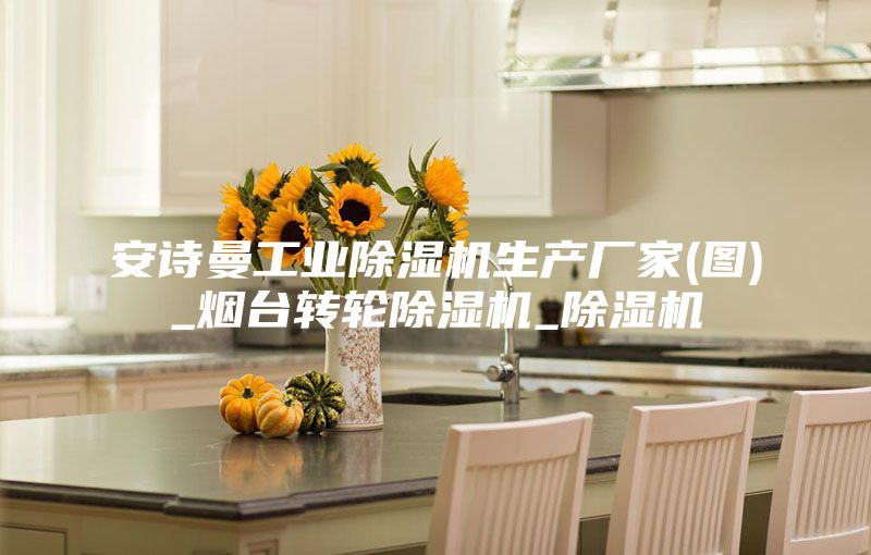 安詩曼工業(yè)除濕機生產(chǎn)廠家(圖)_煙臺轉(zhuǎn)輪除濕機_除濕機