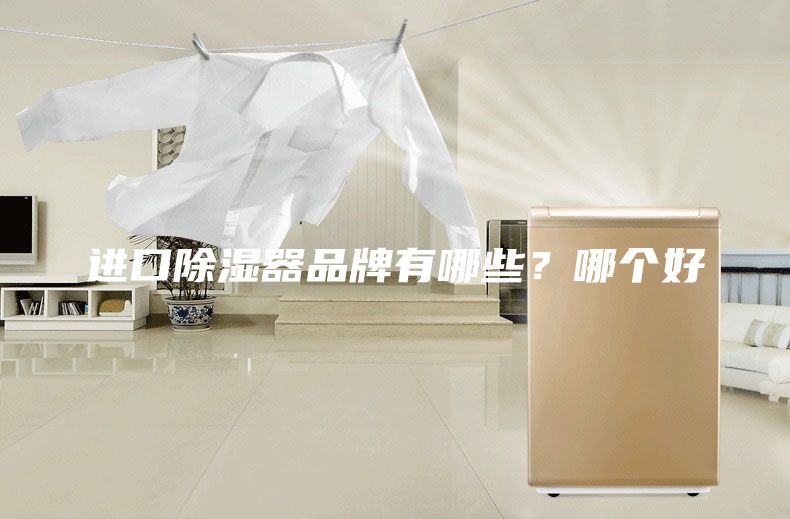 進(jìn)口除濕器品牌有哪些？哪個(gè)好