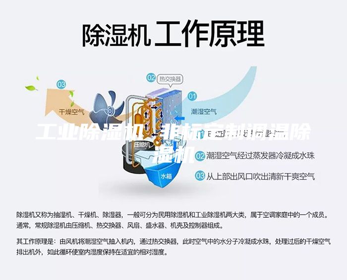 工業(yè)除濕機 非標(biāo)定制調(diào)溫除濕機