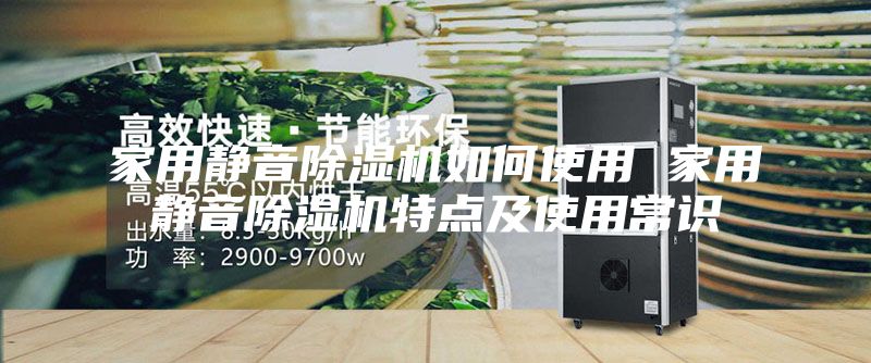 家用靜音除濕機如何使用 家用靜音除濕機特點及使用常識