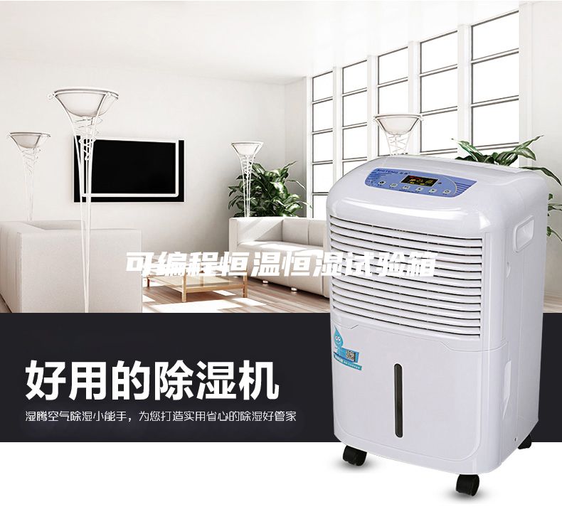 可編程恒溫恒濕試驗箱