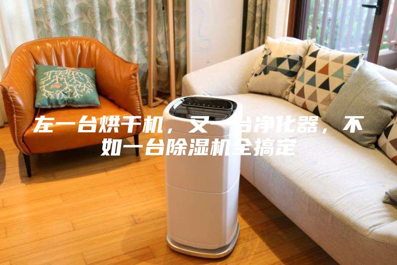左一臺烘干機，又一臺凈化器，不如一臺除濕機全搞定