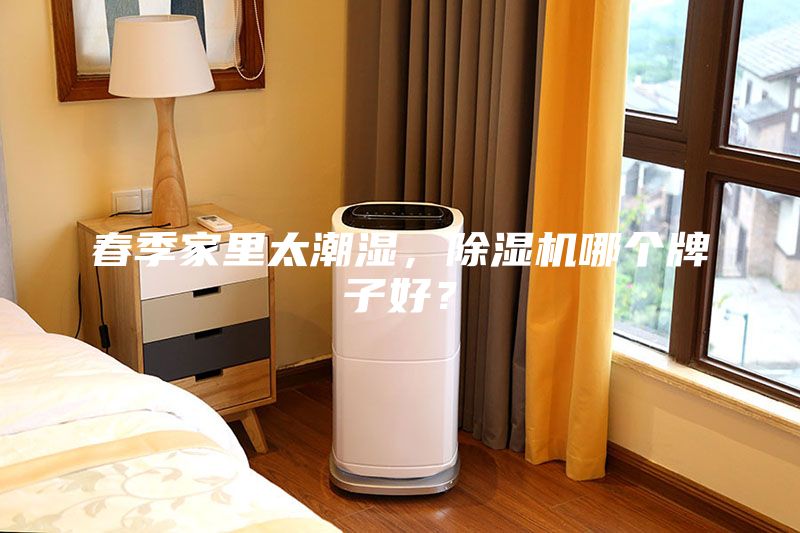 春季家里太潮濕，除濕機(jī)哪個(gè)牌子好？