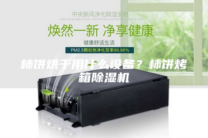 柿餅烘干用什么設備？柿餅烤箱除濕機