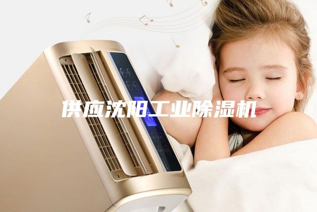 供應(yīng)沈陽工業(yè)除濕機(jī)