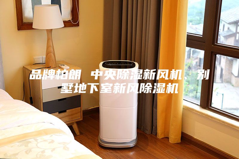 品牌柏朗 中央除濕新風(fēng)機(jī)、別墅地下室新風(fēng)除濕機(jī)