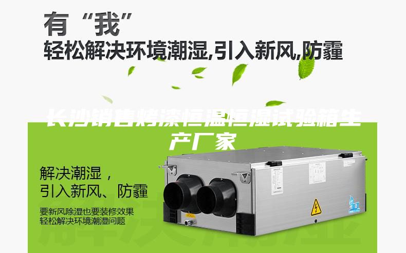 長沙銷售烤漆恒溫恒濕試驗箱生產廠家