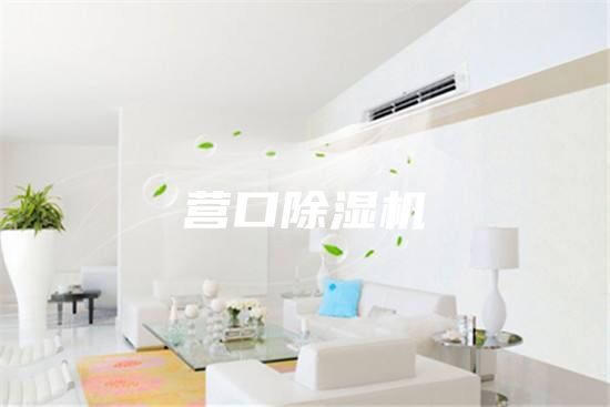 營(yíng)口除濕機(jī)